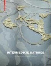 bokomslag Intermediate Natures / Natures Intermediaires : Les Paysages de Michel Desvigne