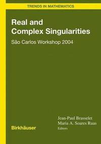 bokomslag Real and Complex Singularities