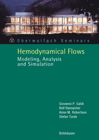 bokomslag Hemodynamical Flows