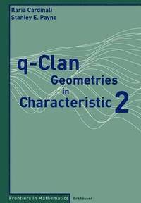 bokomslag q-Clan Geometries in Characteristic 2