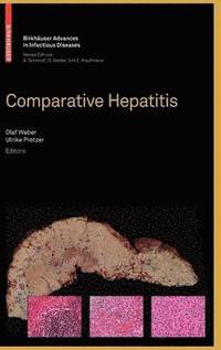 bokomslag Comparative Hepatitis