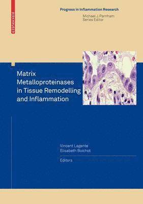 Matrix Metalloproteinases in Tissue Remodelling and Inflammation 1