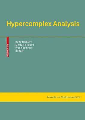 Hypercomplex Analysis 1
