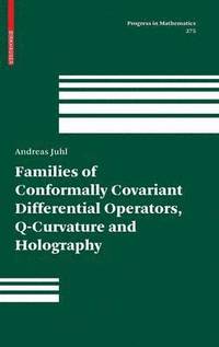 bokomslag Families of Conformally Covariant Differential Operators, Q-Curvature and Holography