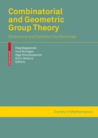 bokomslag Combinatorial and Geometric Group Theory