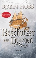 bokomslag Beschützer der Drachen