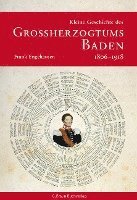 bokomslag Kleine Geschichte des Grossherzogtums Baden 1806-1918