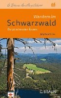 bokomslag Wandern im Schwarzwald