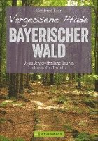bokomslag Vergessene Pfade Bayerischer Wald