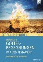 bokomslag Gottesbegegnungen im Alten Testament