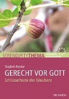 bokomslag Gerecht vor Gott