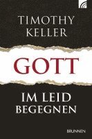 bokomslag Gott im Leid begegnen