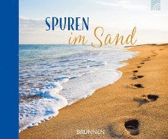 bokomslag Spuren im Sand