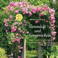 bokomslag Rosenduft und Sonnenschein