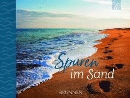 bokomslag Spuren im Sand