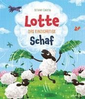 bokomslag Lotte - das einzigartige Schaf