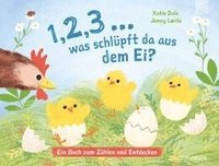 bokomslag 1, 2, 3 ... was schlüpft da aus dem Ei?