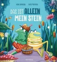 bokomslag Das ist allein mein Stein