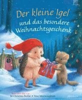 M Christina Butler - Der kleine Igel und das besondere Weihnachtsgeschenk, Inbunden