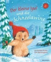 bokomslag Der kleine Igel und die Schneelawine