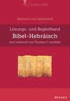 Bibel-Hebräisch