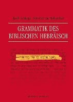 bokomslag Grammatik des Biblischen Hebräisch