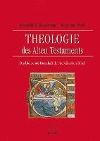 bokomslag Theologie des Alten Testaments