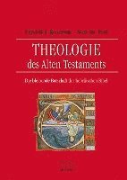 bokomslag Theologie des Alten Testaments