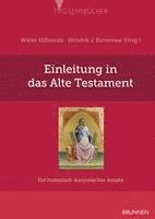 bokomslag Einleitung in das Alte Testament
