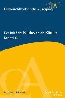 bokomslag Der Brief des Paulus an die Römer, Kapitel 6-16