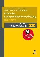 Werner Feldes, Anna Gilsbach, Christiane Jansen, Rolf Klabunde, Petra Künsemüller, Diana Ramm, Hans-Günther Ritz, Jürgen Schmidt, Anne Weidner - Praxis der Schwerbehindertenvertretung von A bis Z, Häftad