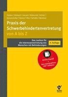 Werner Feldes, Rolf Klabunde, Anna Gilsbach, Christiane Jansen, Christian Köhler, Petra Künsemüller, Diana Ramm, Hans-Günther Ritz, Anne Weidner - Praxis der Schwerbehindertenvertretung von A bis Z, Inbunden