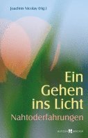 bokomslag Ein Gehen ins Licht: Nahtoderfahrungen