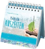 bokomslag Biblische Auszeiten