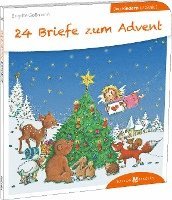 bokomslag 24 Briefe zum Advent