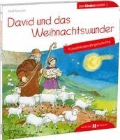 David und das Weihnachtswunder. Adventskalendergeschichte, Häftad