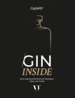 bokomslag Gin Inside