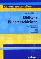 bokomslag Biblische Bildergeschichten