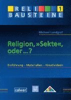 bokomslag Religion, "Sekte", oder ...?