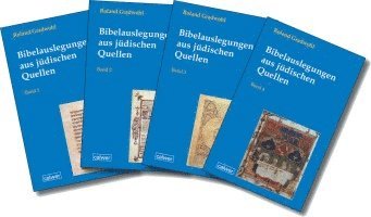 bokomslag Bibelauslegungen aus jüdischen Quellen