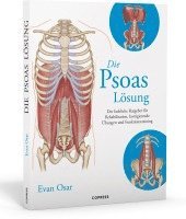 bokomslag Die Psoas-Lösung