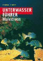 bokomslag Unterwasserführer Malediven: Fische