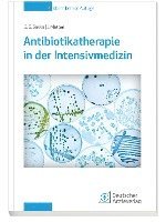 bokomslag Antibiotikatherapie in der Intensivmedizin