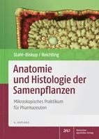 bokomslag Anatomie und Histologie der Samenpflanzen