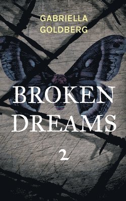 Broken Dreams 2 1