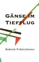 Gänse im Tiefflug 1