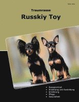 Traumrasse Russkiy Toy 1