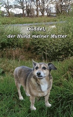 bokomslag Dddel, der Hund meiner Mutter