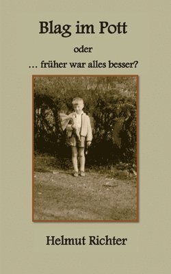 Helmut Richter - Blag im Pott, Häftad