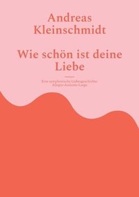 bokomslag Wie schön ist deine Liebe: Eine symphonische Liebesgeschichte
